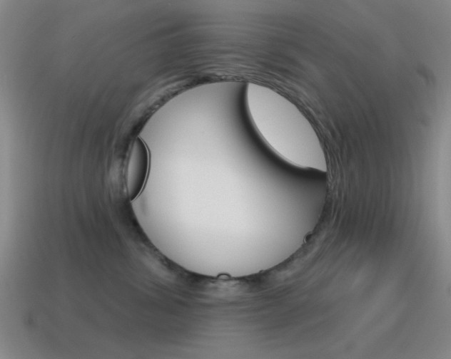 X0000115650428200911101120