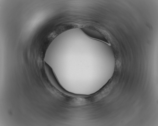 X0000115650429200911101120