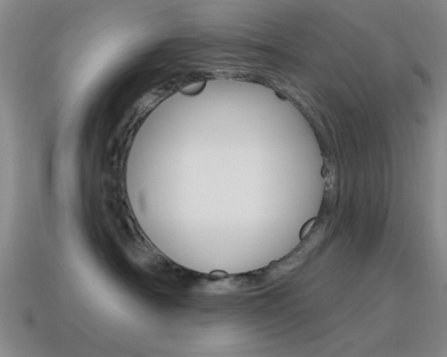 X0000115650430200911101120