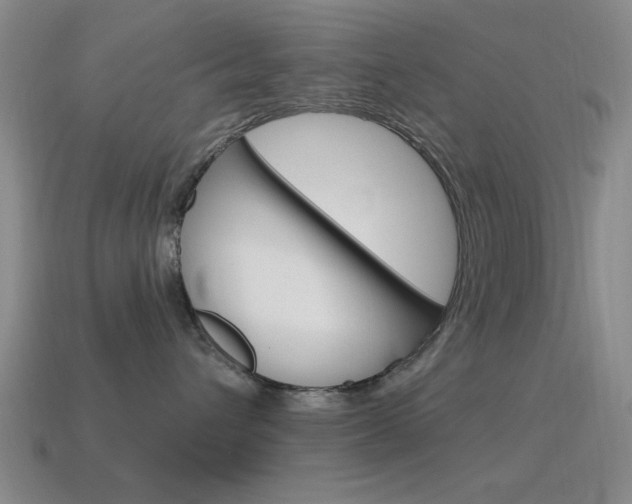 X0000115650432200911101120