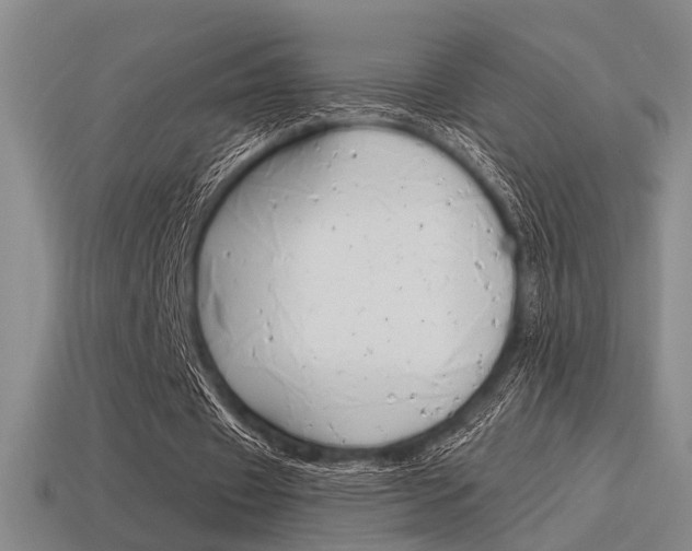 X0000115650433200911101119