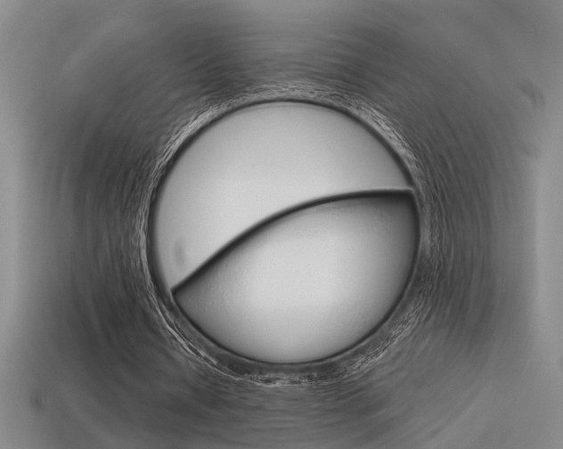 X0000115650434200911101119