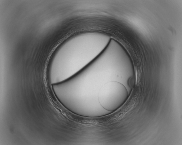 X0000115650435200911101119