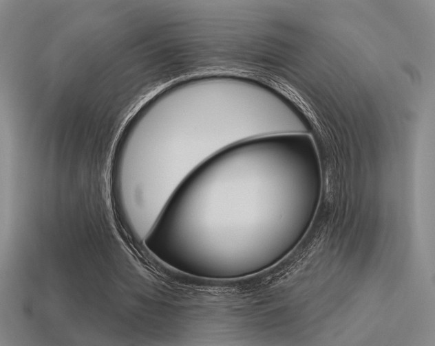 X0000115650436200911101119