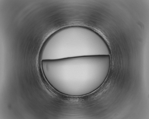 X0000115650439200911101119