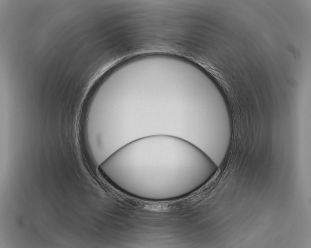 X0000115650440200911101119