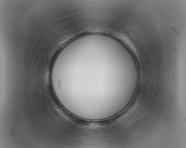 X0000115650441200911101119