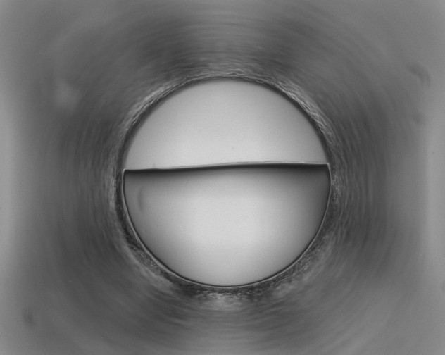 X0000115650442200911101120