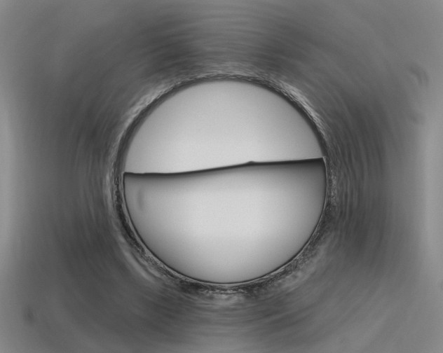 X0000115650443200911101120
