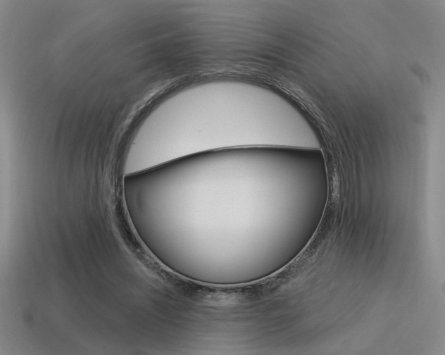 X0000115650444200911101120