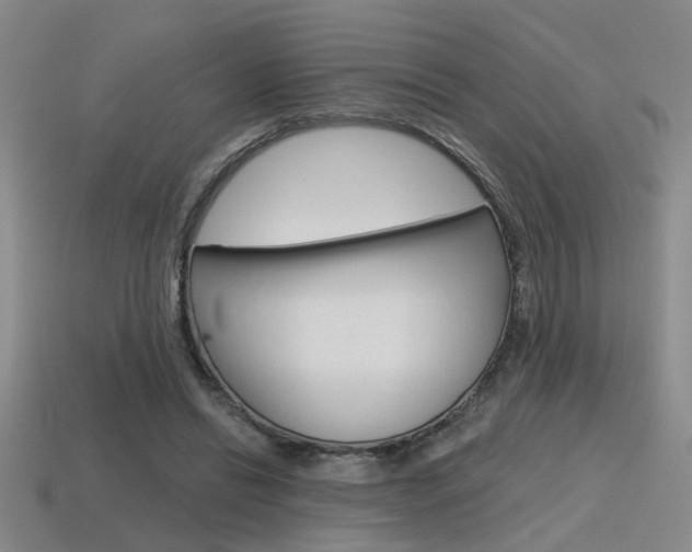 X0000115650446200911101120