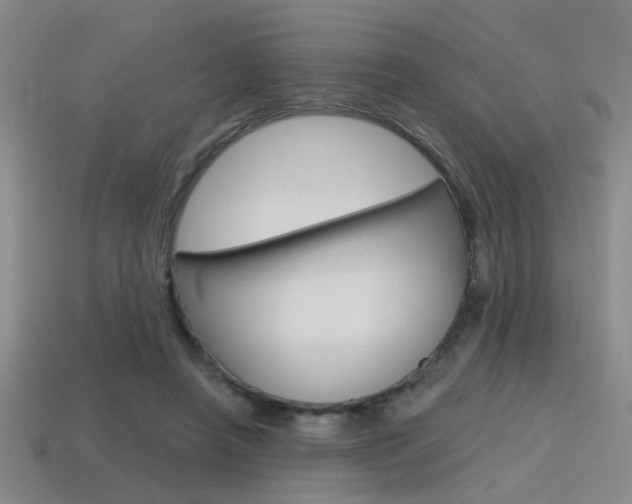 X0000115650450200911101120