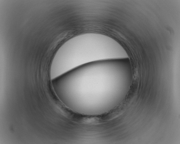 X0000115650452200911101120