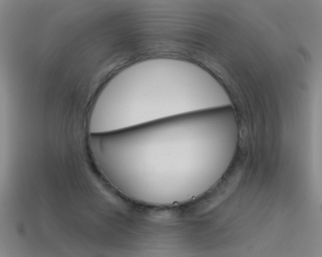 X0000115650454200911101120