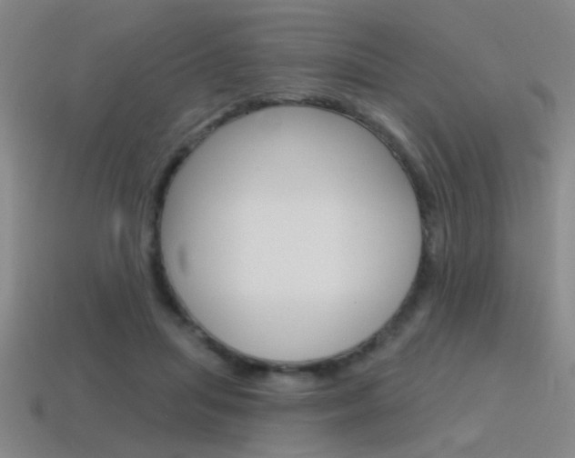 X0000115650455200911101120