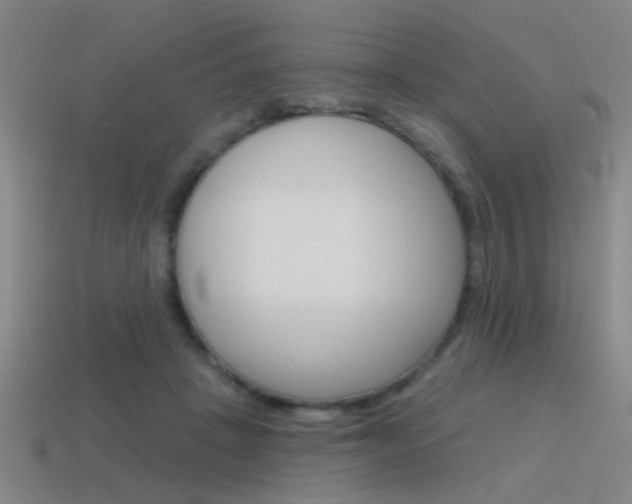 X0000115650457200911101120