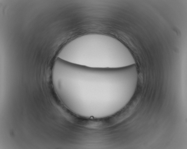 X0000115650458200911101120