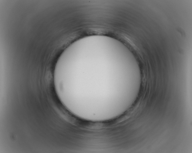 X0000115650459200911101120