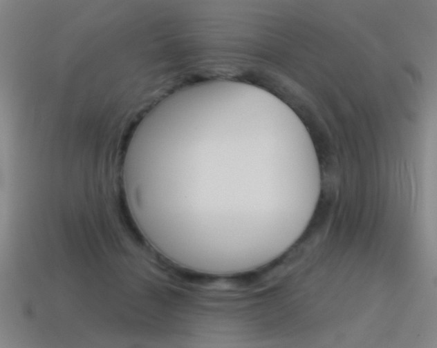 X0000115650460200911101120