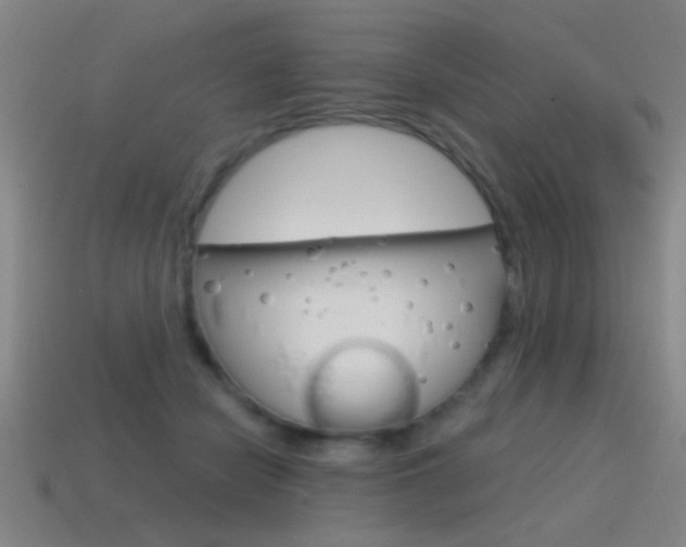 X0000115650462200911101120
