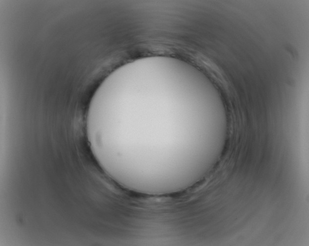 X0000115650465200911101120
