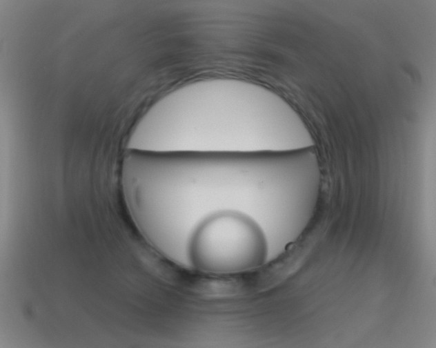 X0000115650466200911101120