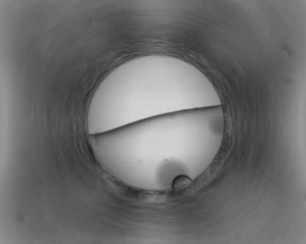 X0000115650471200911101120