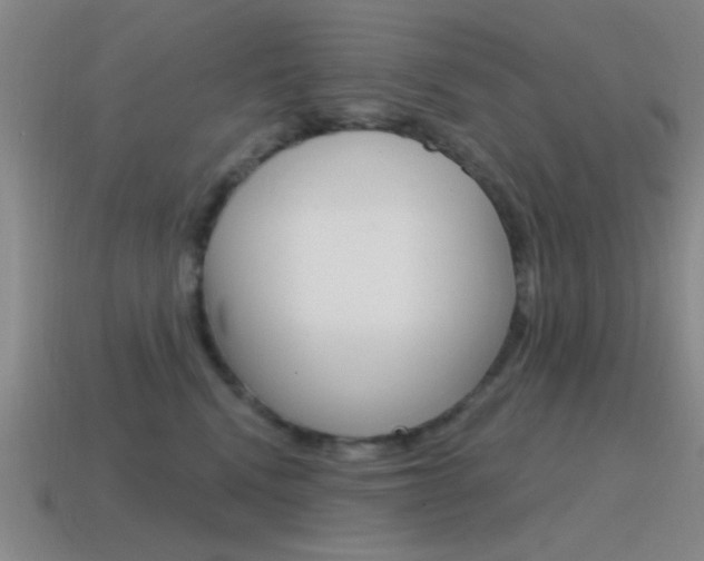 X0000115650472200911101120