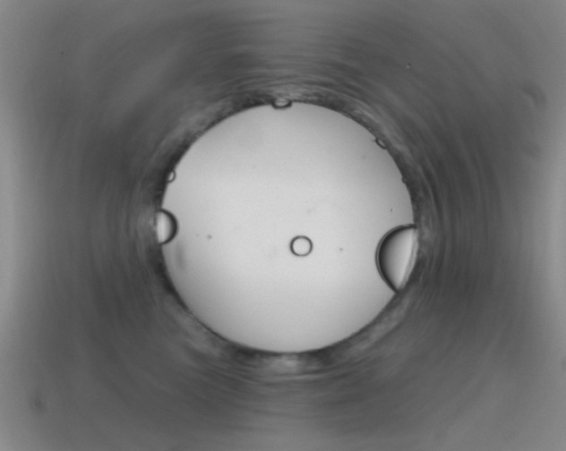 X0000115650473200911101120