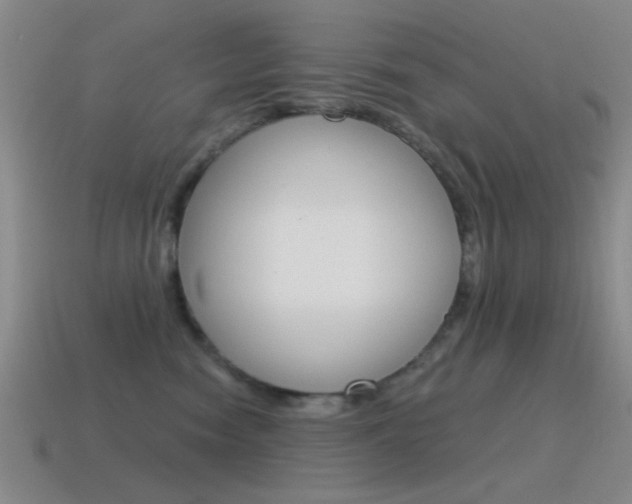 X0000115650474200911101120
