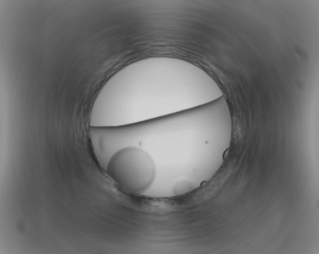 X0000115650475200911101120