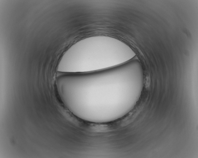 X0000115650476200911101120