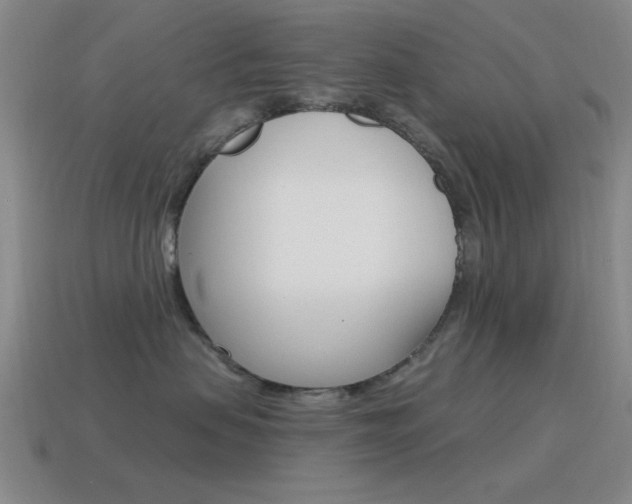 X0000115650479200911101120