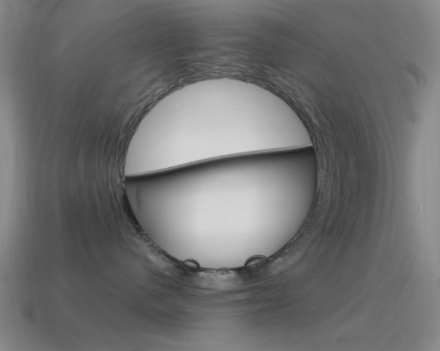 X0000115650480200911101120