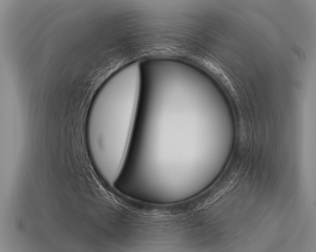 X0000115650481200911101119
