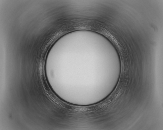X0000115650482200911101119