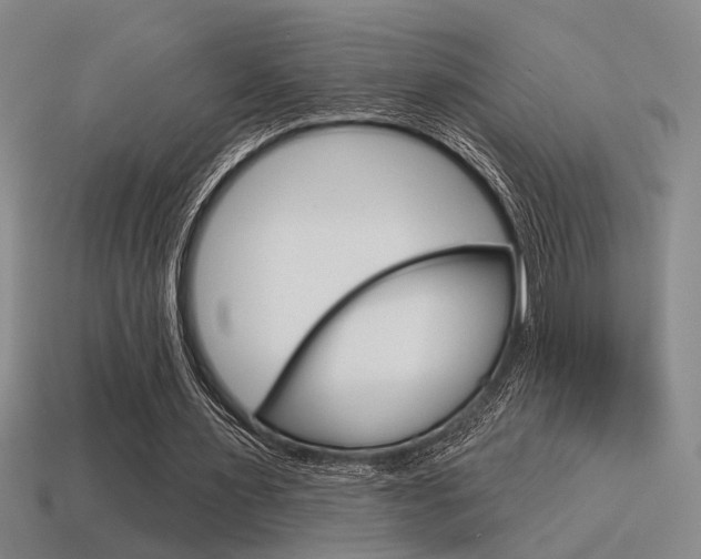 X0000115650483200911101119