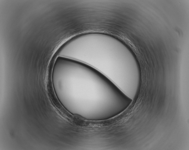 X0000115650484200911101119