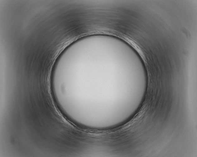 X0000115650485200911101119