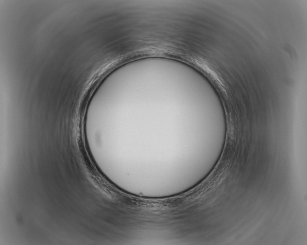 X0000115650486200911101119