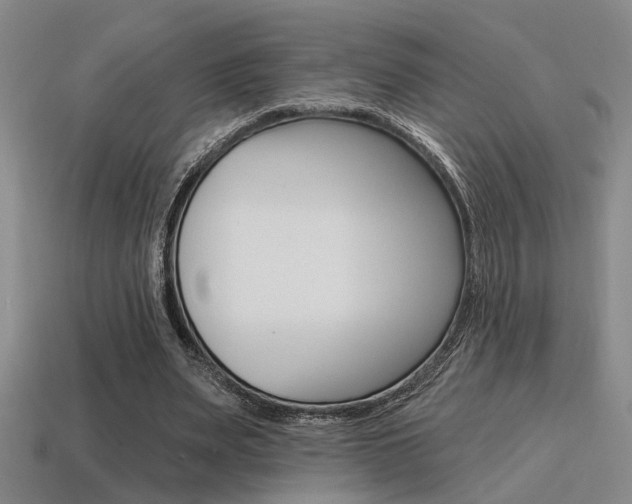 X0000115650487200911101119