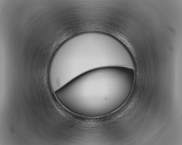 X0000115650489200911101119