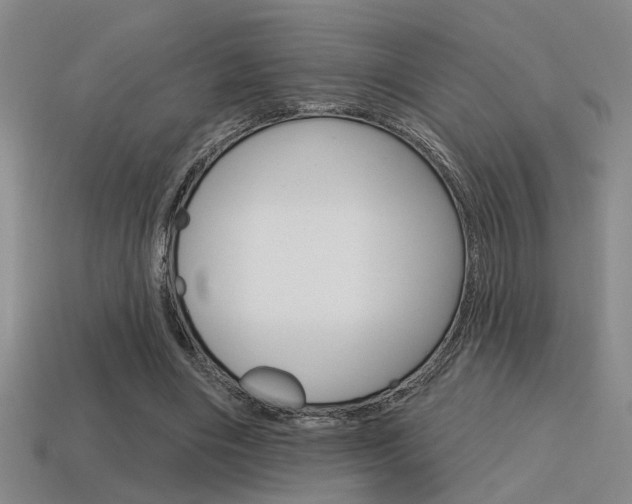 X0000115650490200911101119