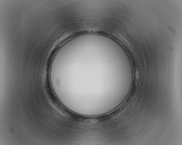 X0000115650492200911101119