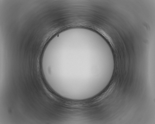 X0000115650493200911101119