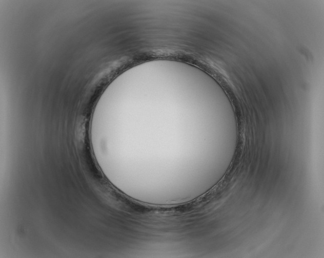 X0000115650495200911101119