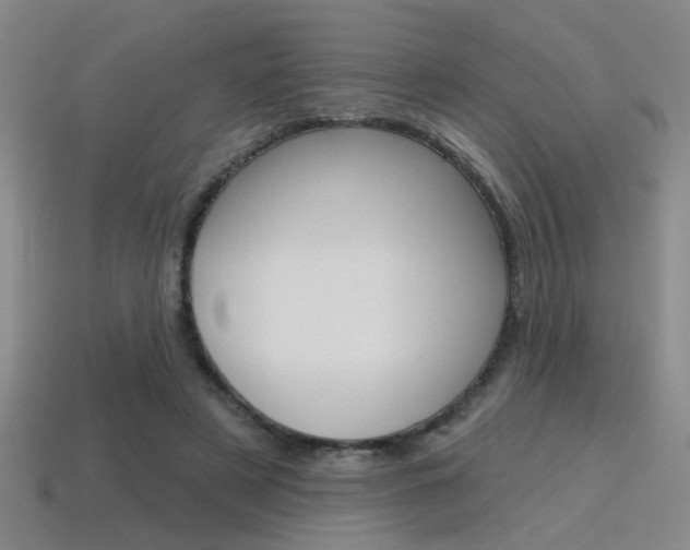 X0000115650497200911101119