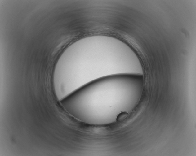 X0000115650501200911101119