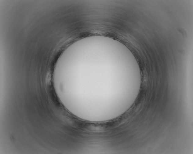 X0000115650502200911101119