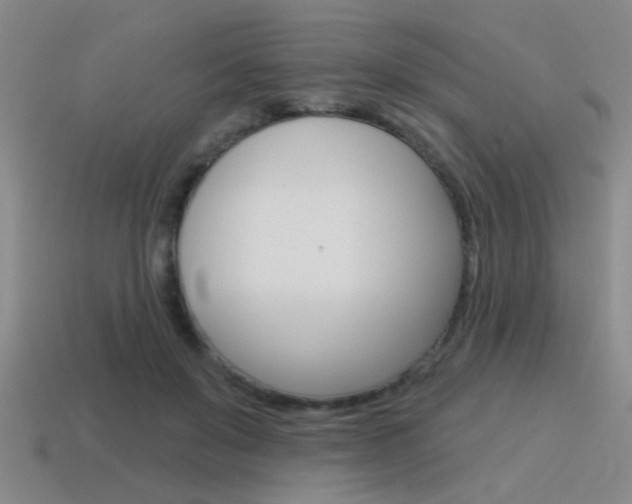 X0000115650503200911101119